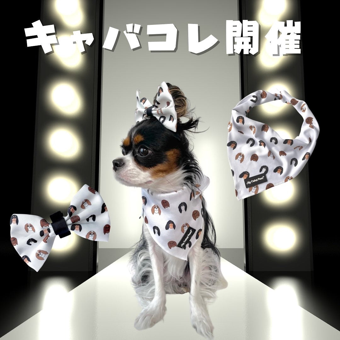 キャバコレランウェイ2022開催