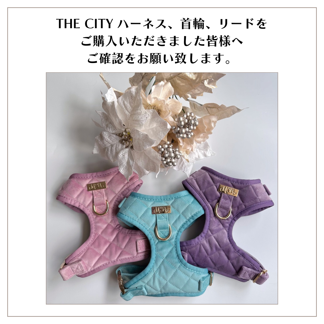THE CITYをご購入していただいた皆様へ