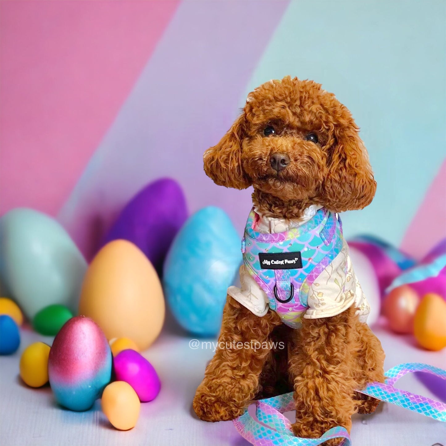 Tropical Mermaid ドッグ ソフトメッシュ ハーネス