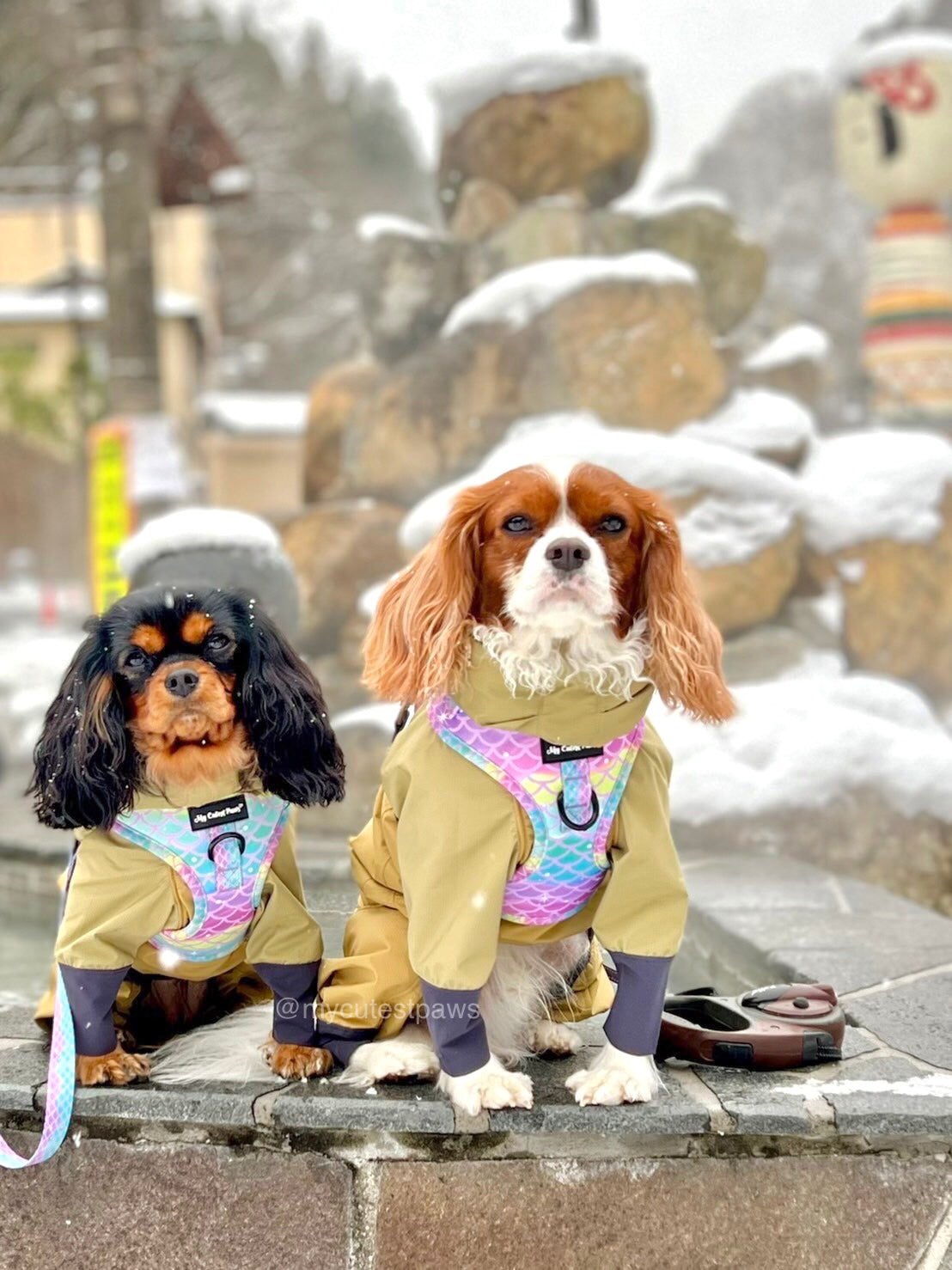 Tropical Mermaid ドッグ ソフトメッシュ ハーネス