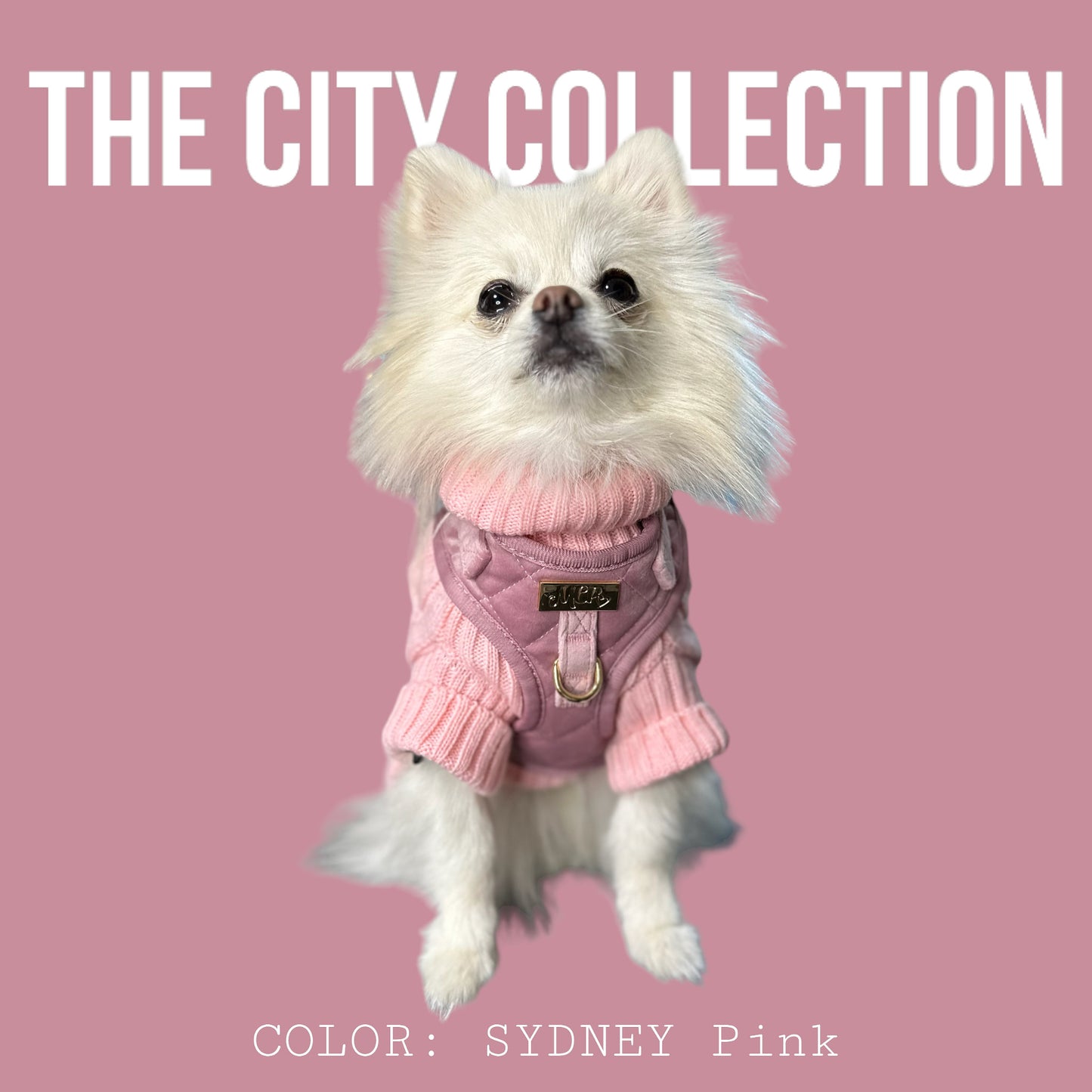 THE CITY  ベルベットハーネス