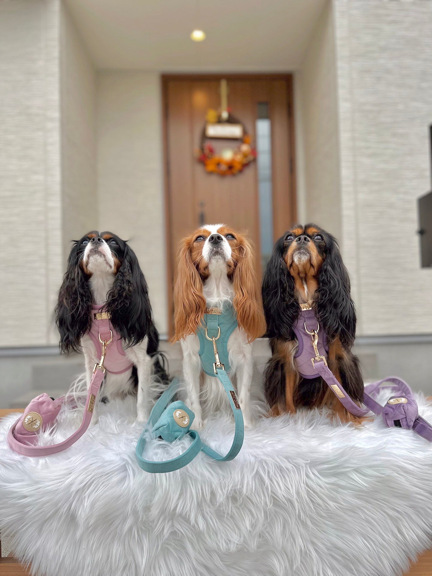 THE CITY プーバッグ by MCP (うんち袋付きポーチ)