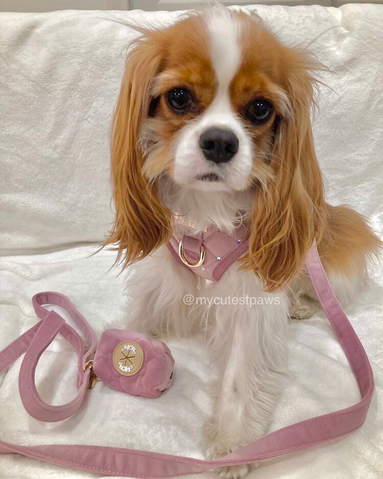 THE CITY プーバッグ by MCP (うんち袋付きポーチ)