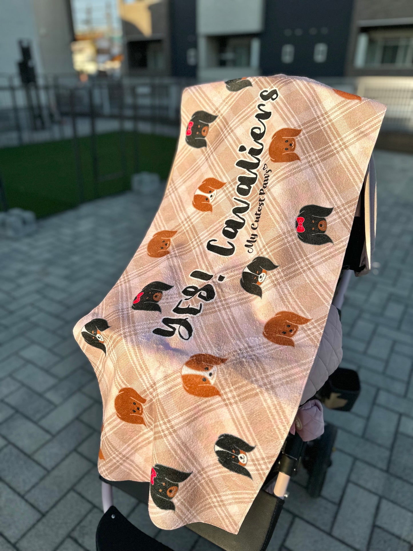 YES! Cavaliers タータンチェックな気分