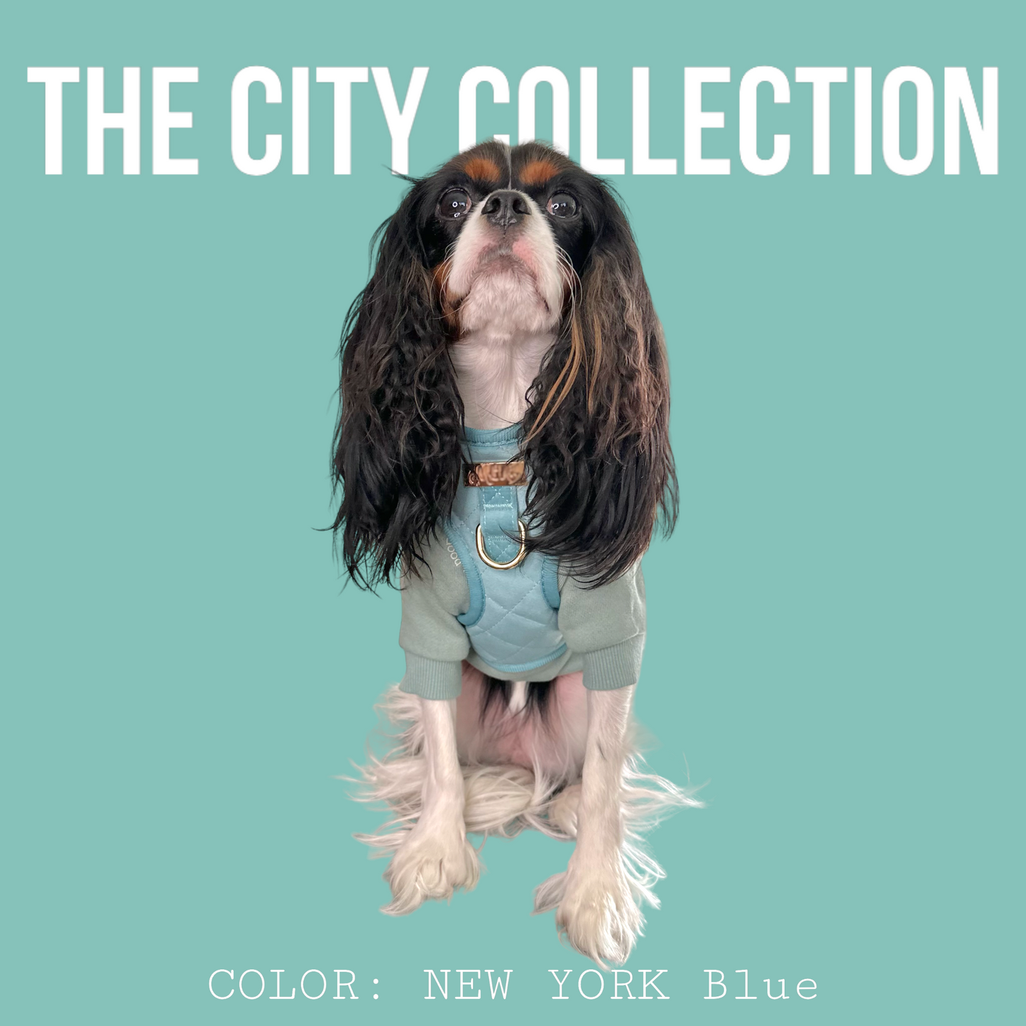 THE CITY  ベルベットハーネス