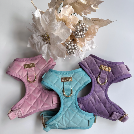 THE CITY  ベルベットハーネス