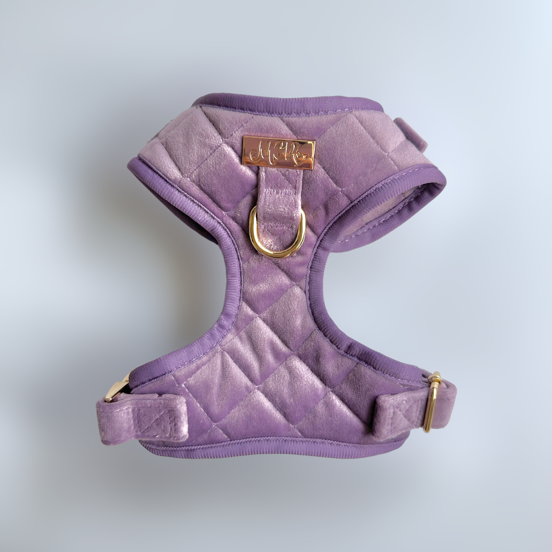 THE CITY  ベルベットハーネス