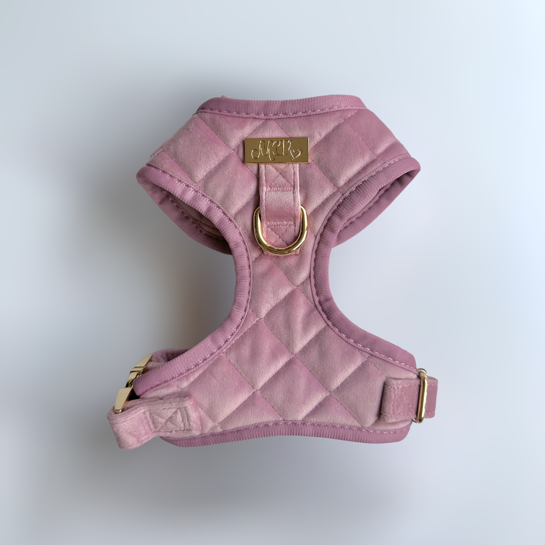 THE CITY  ベルベットハーネス