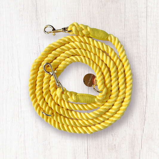 ショルダーロープリード SUNFLOWER サンフラワー