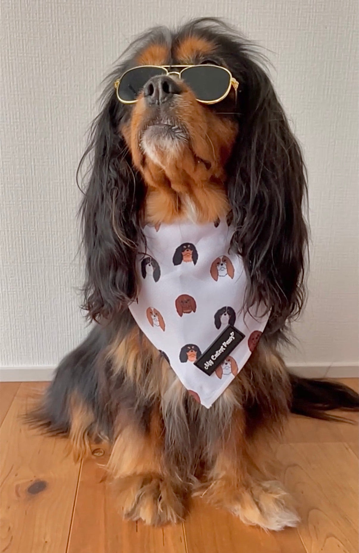 Cavandana / キャバンダナ