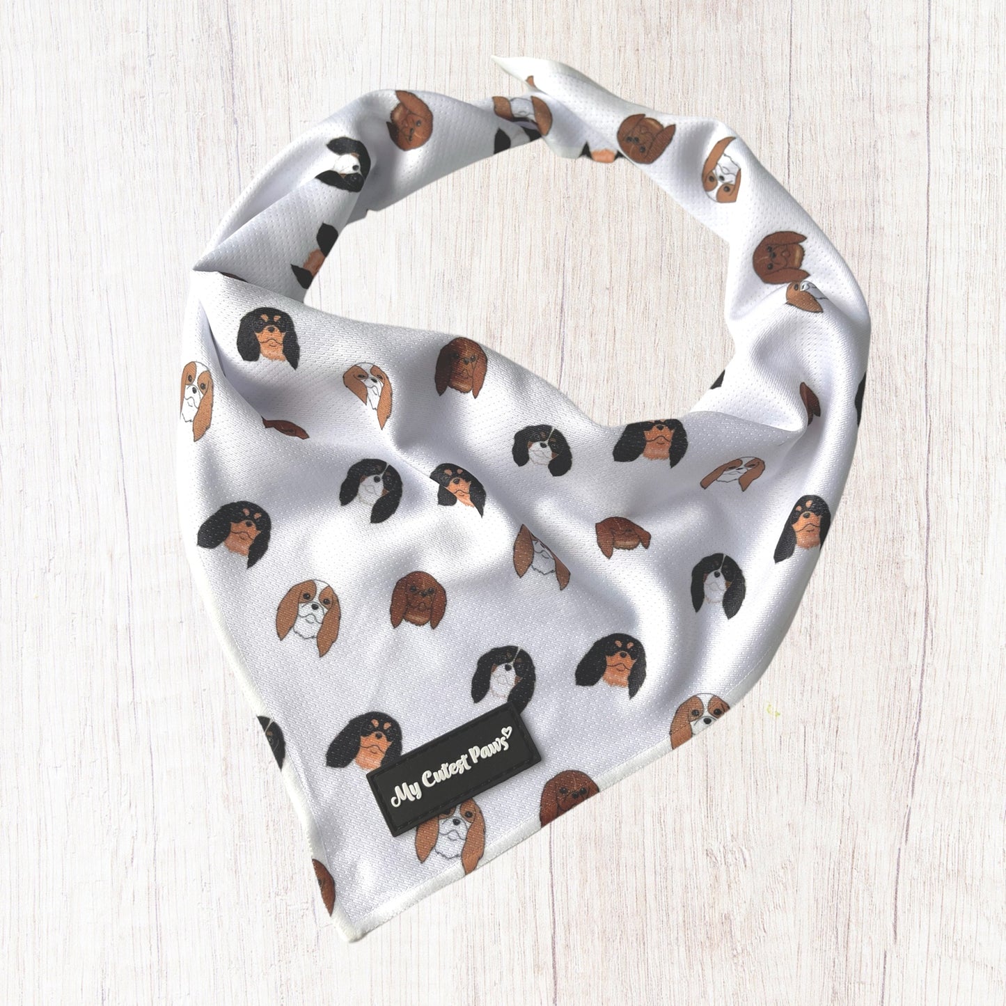 Cavandana / キャバンダナ