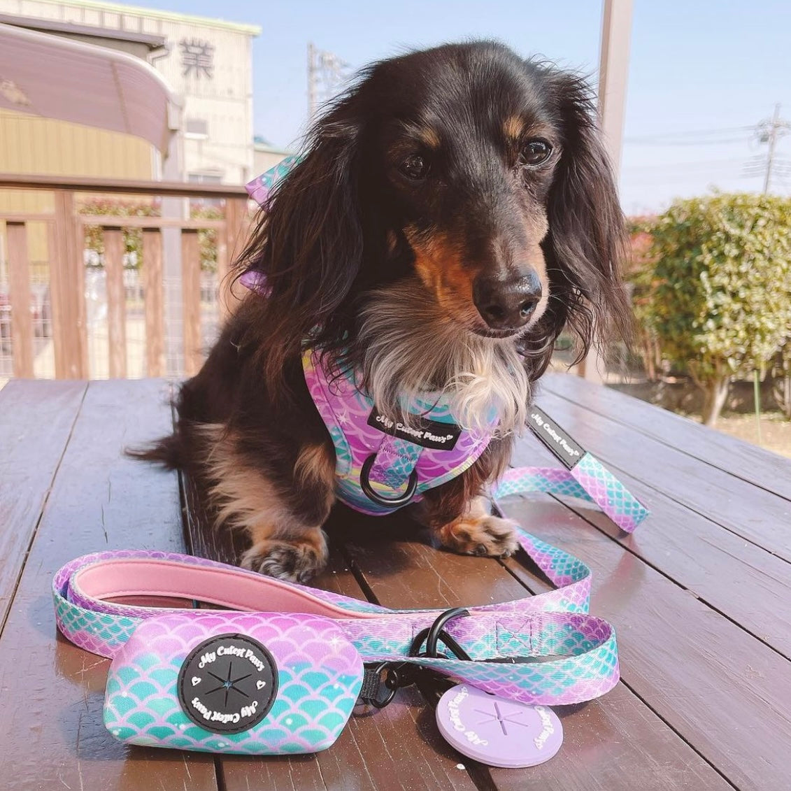 Tropical Mermaid プーバッグ (うんち袋付き♡ポーチ)