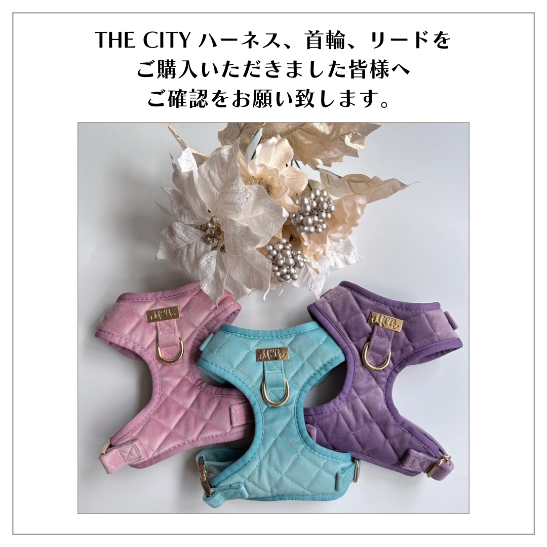 THE CITYをご購入していただいた皆様へ – My Cutest Paws