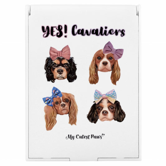 YES! Cavaliers Mini ミラー