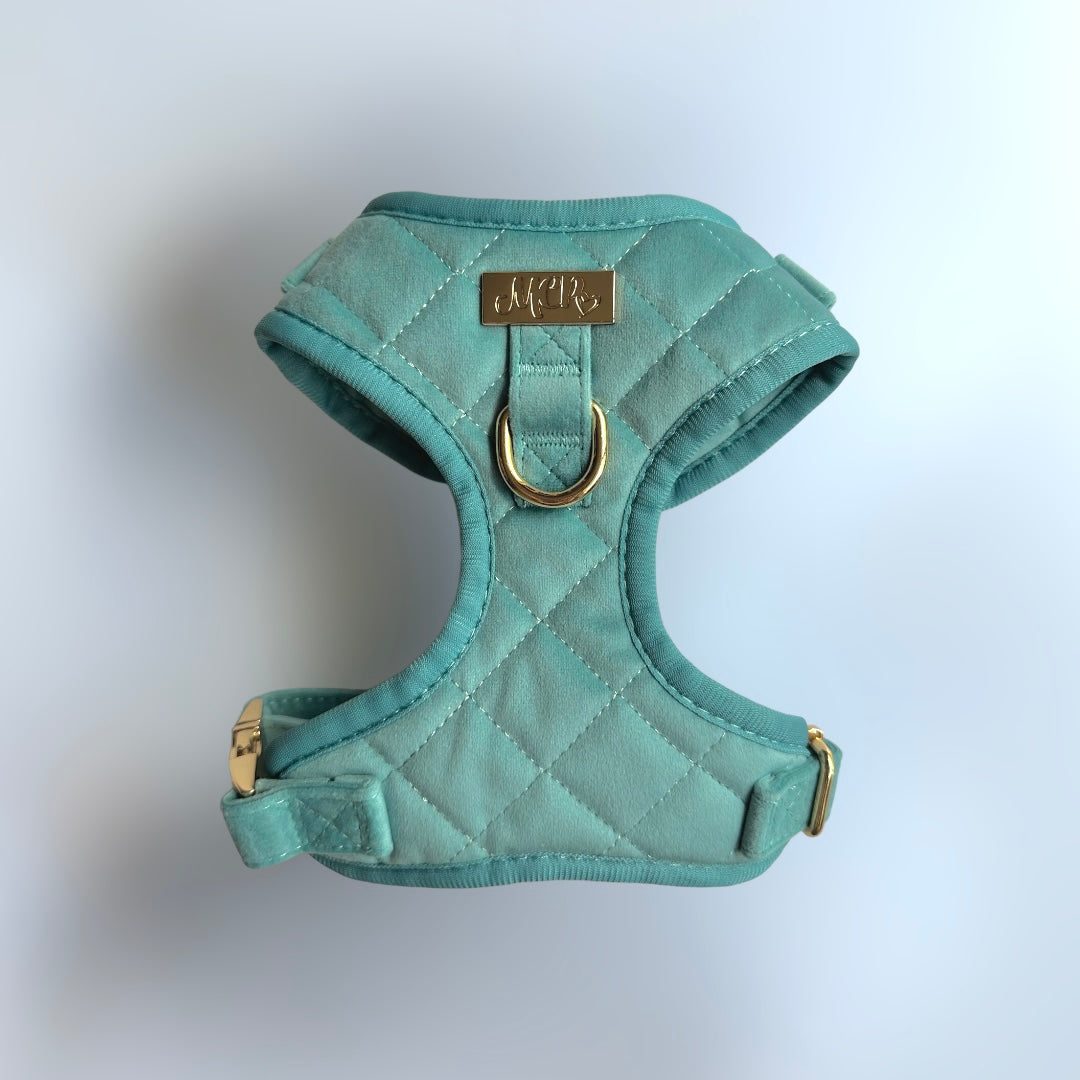 ほいっぷちゃん♡