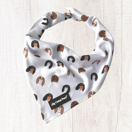 Cavandana / キャバンダナ