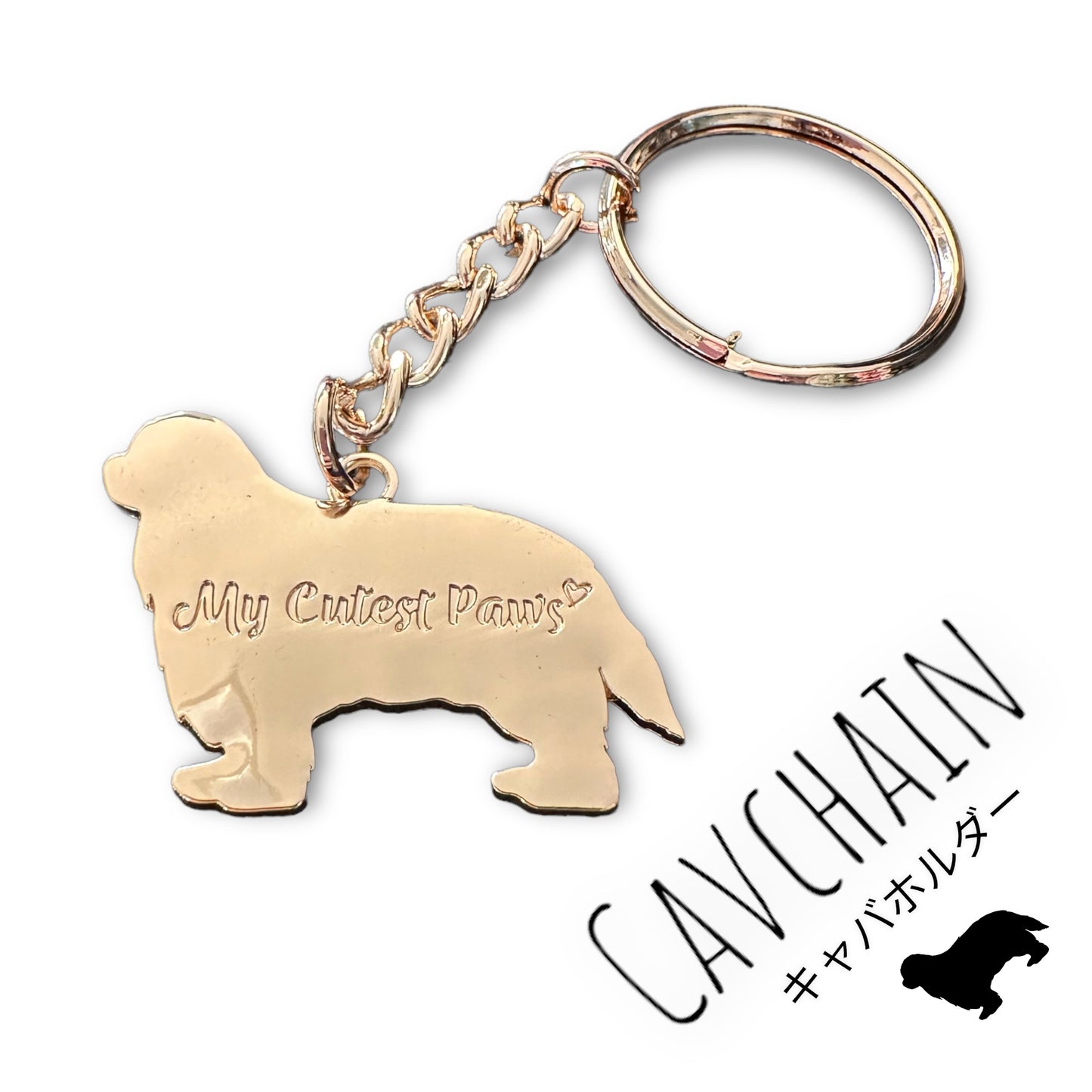 CAV CHAIN キャバホルダー